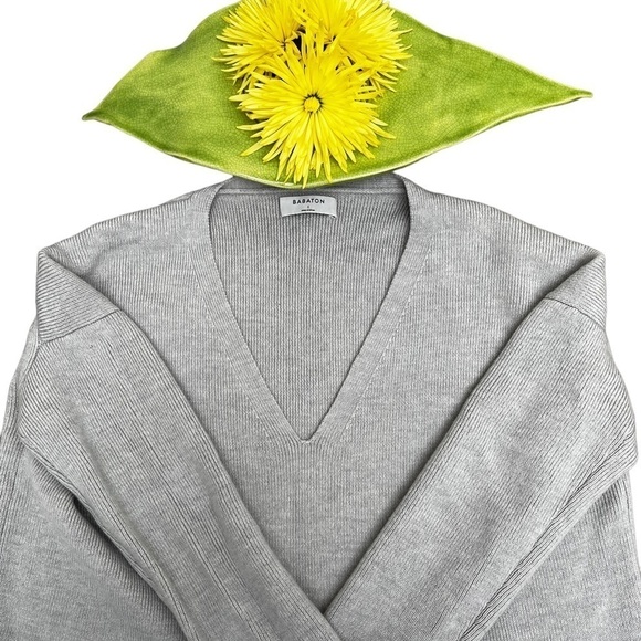 Aritzia Sweaters - Aritzia Babaton Merino Wool V-Neck Sweater EUC